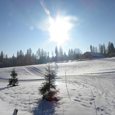 Etoile Des Neiges Piscine Spa Sauna Métabief Exteriér fotografie